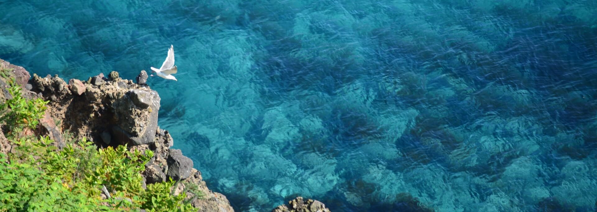 【募集を締め切りました】焼尻島　海岸漂着ゴミ清掃活動ボランティア募集