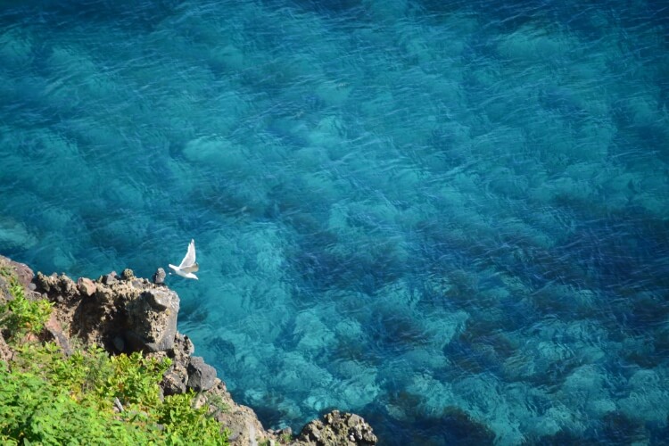 【募集を締め切りました】焼尻島　海岸漂着ゴミ清掃活動ボランティア募集
