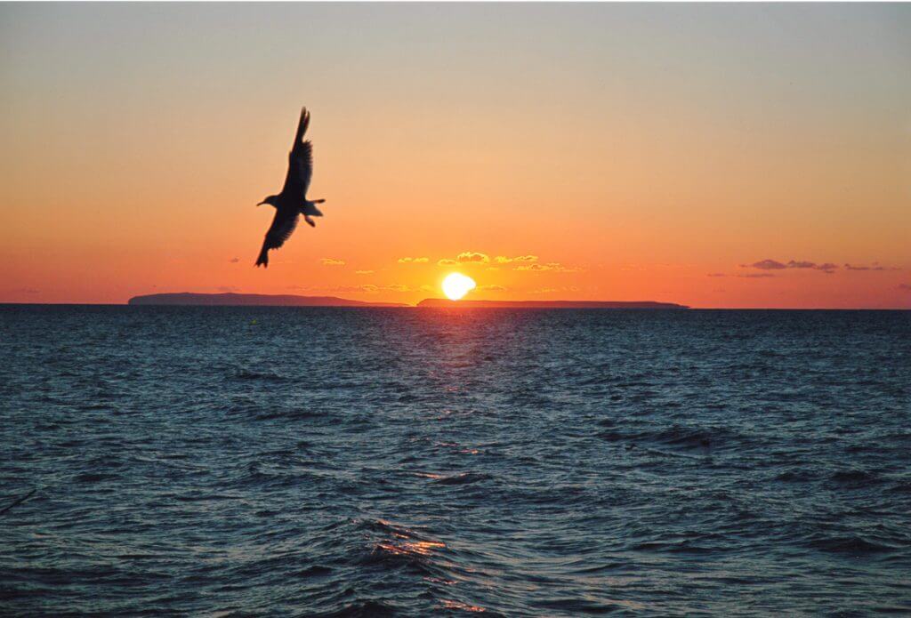時の流れを映す