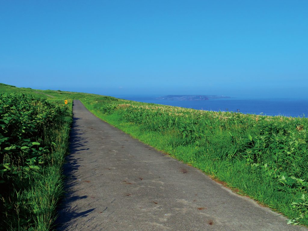断崖沿いの千鳥ヶ浦