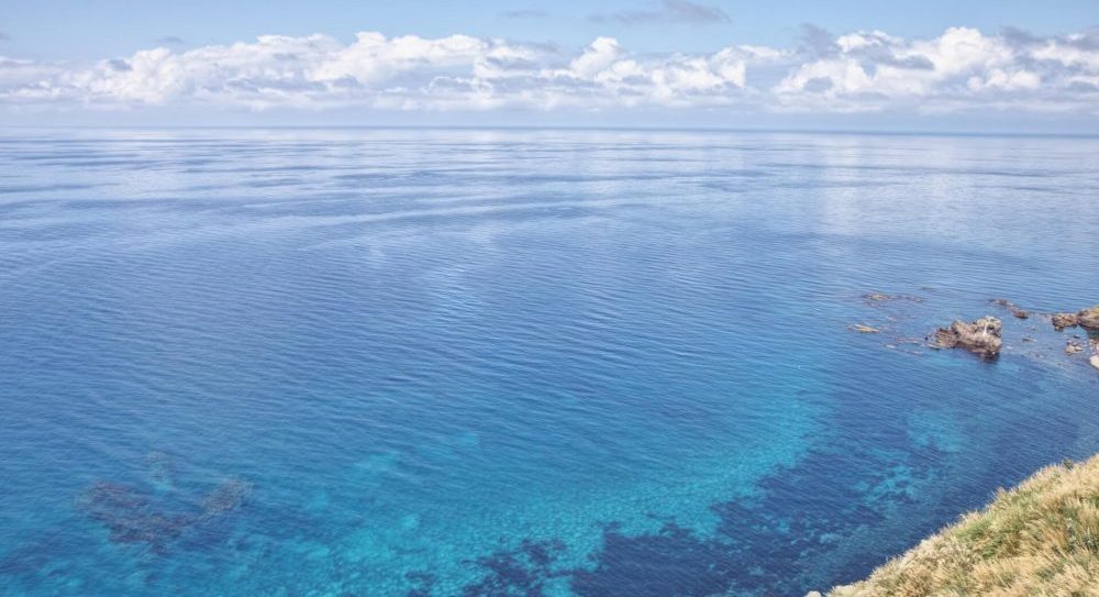 焼尻島の夏の写真