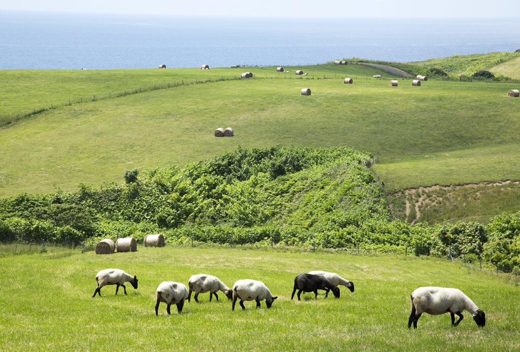 白浜野営場から眺める景色
