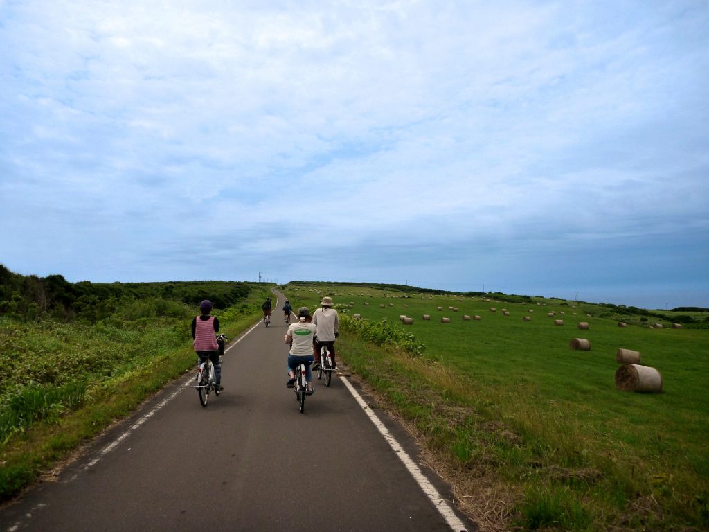 めん羊牧場に挟まれて走る道
