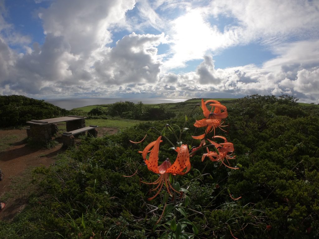 オ二ユリとオンコの荘