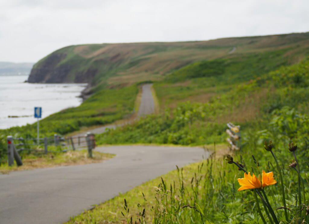 焼尻島の海岸線