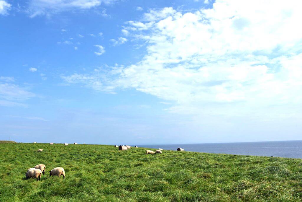 思わず写真を撮りたくなる景色