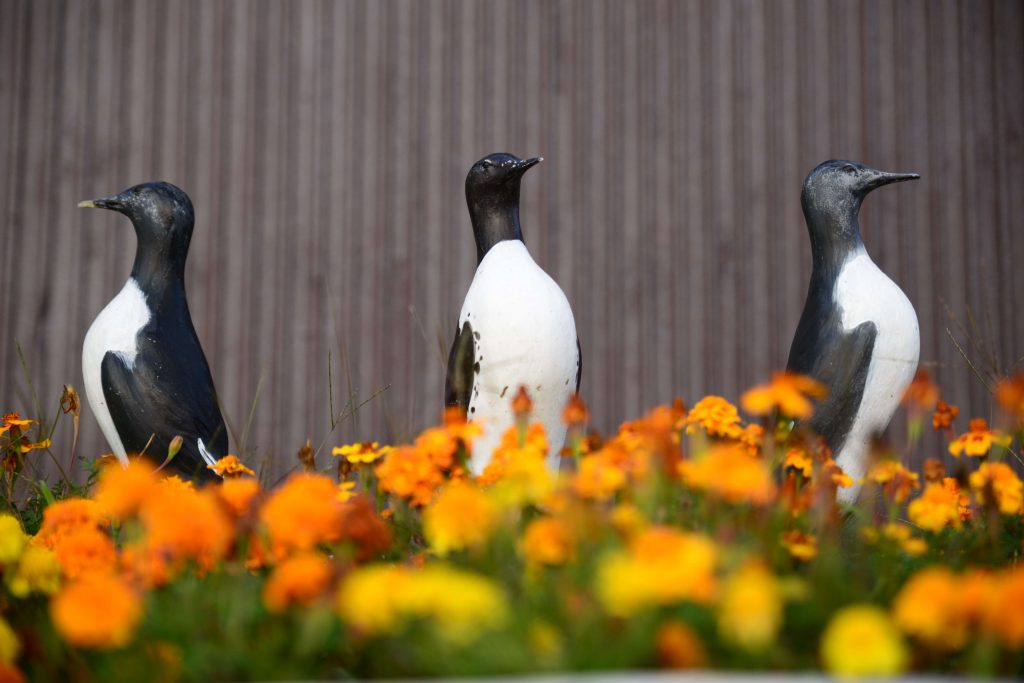 海鳥の存在を感じる