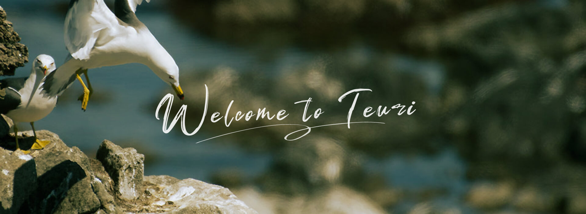 ようこそ、天売島へ