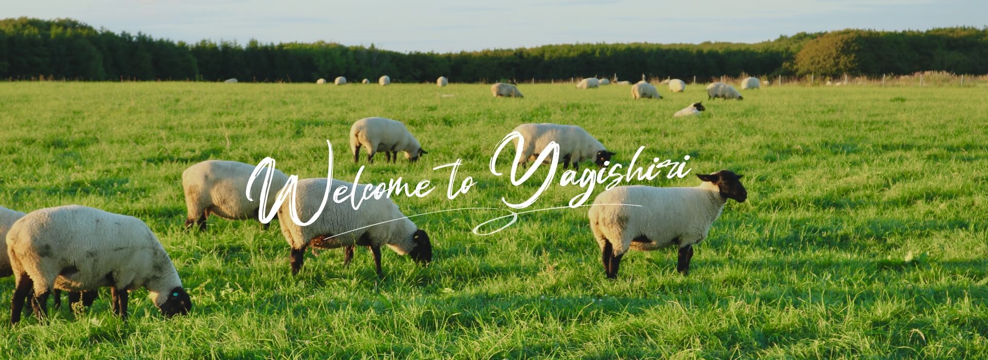 ようこそ、焼尻島へ