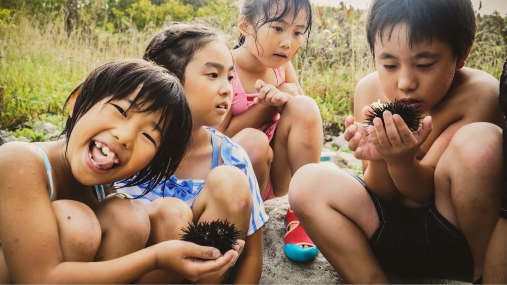 天売島の夏の写真