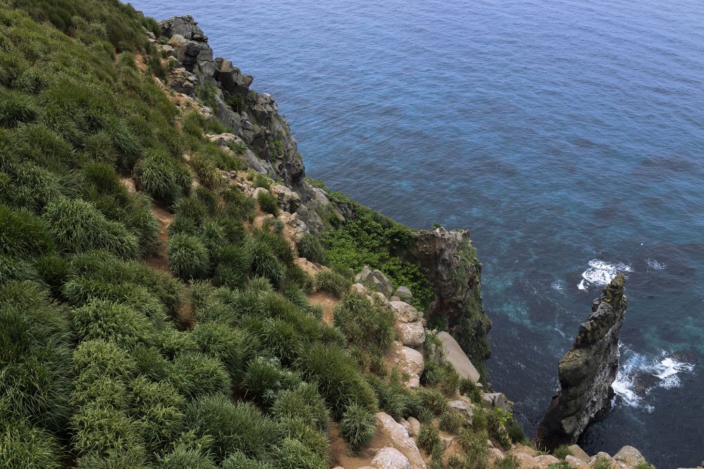 【島内ツアー】ぐるっと天売島一周ツアー
