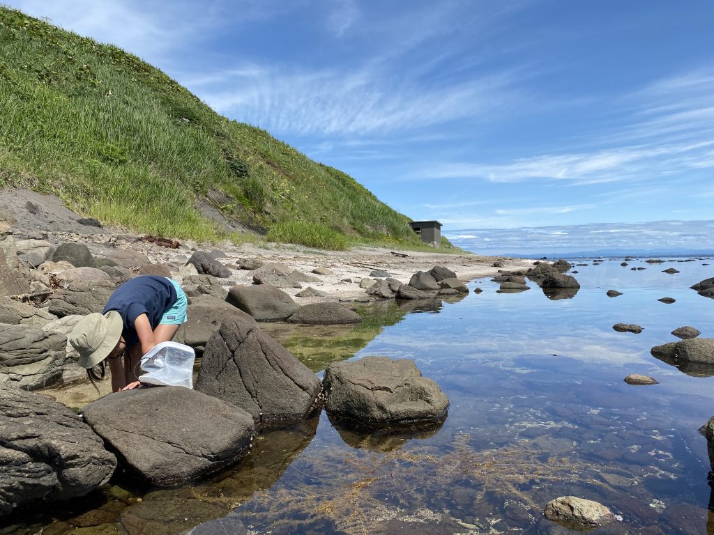 白浜海岸で浜遊び