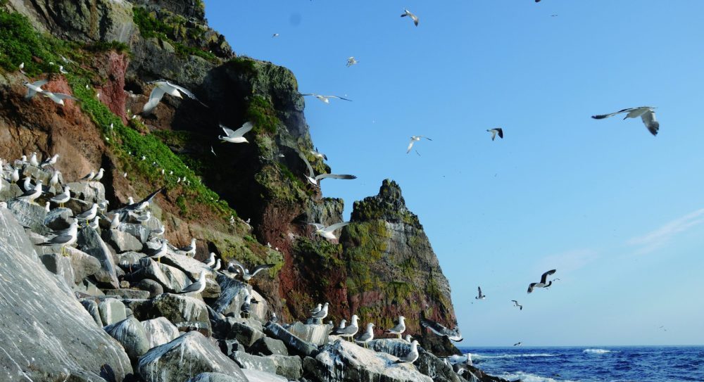 クルーズの写真