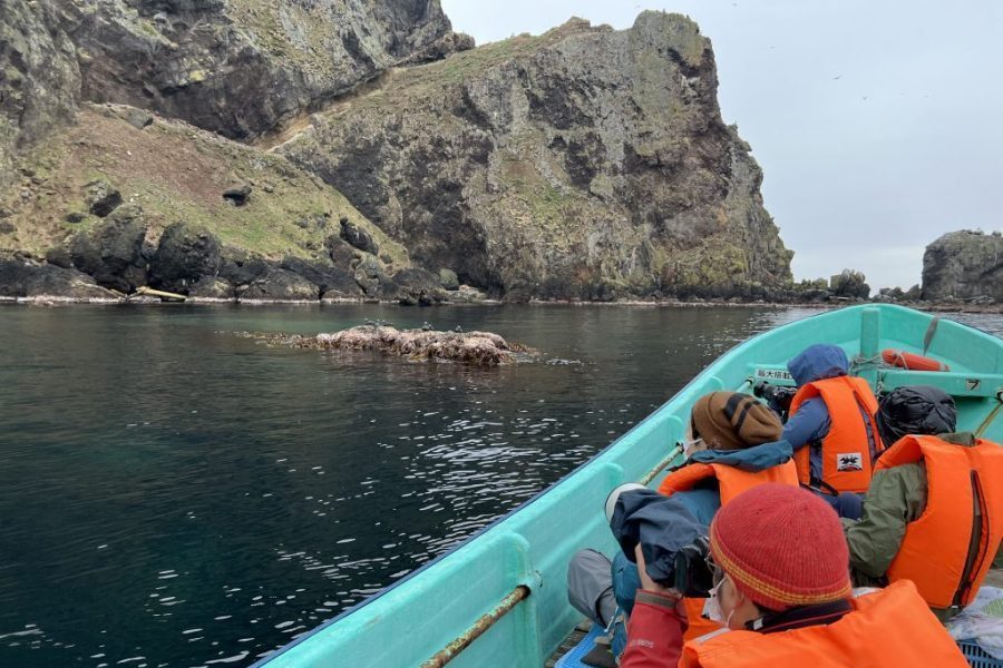 海鳥アドベンチャークルーズ