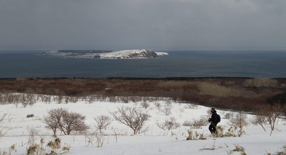 天売島の冬の写真
