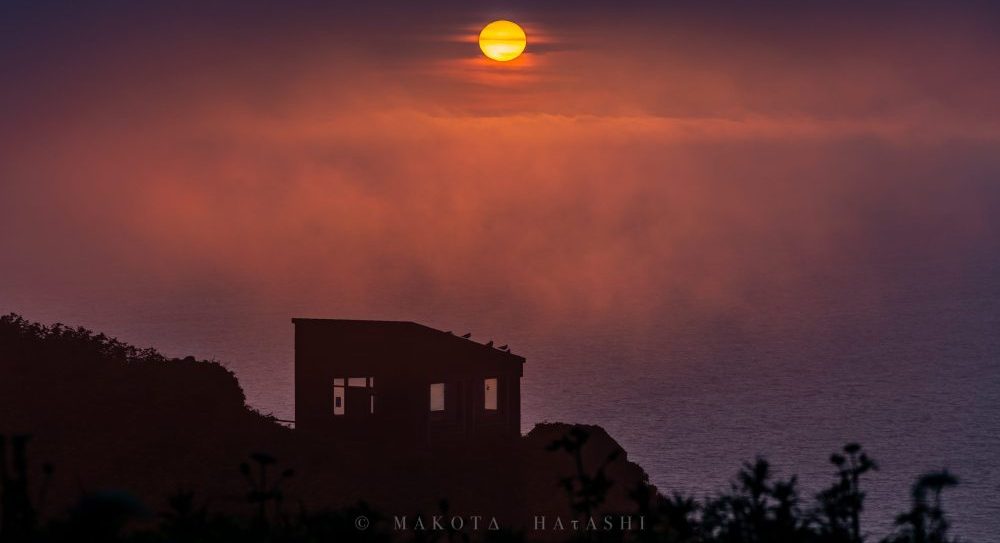 天売島の秋の写真